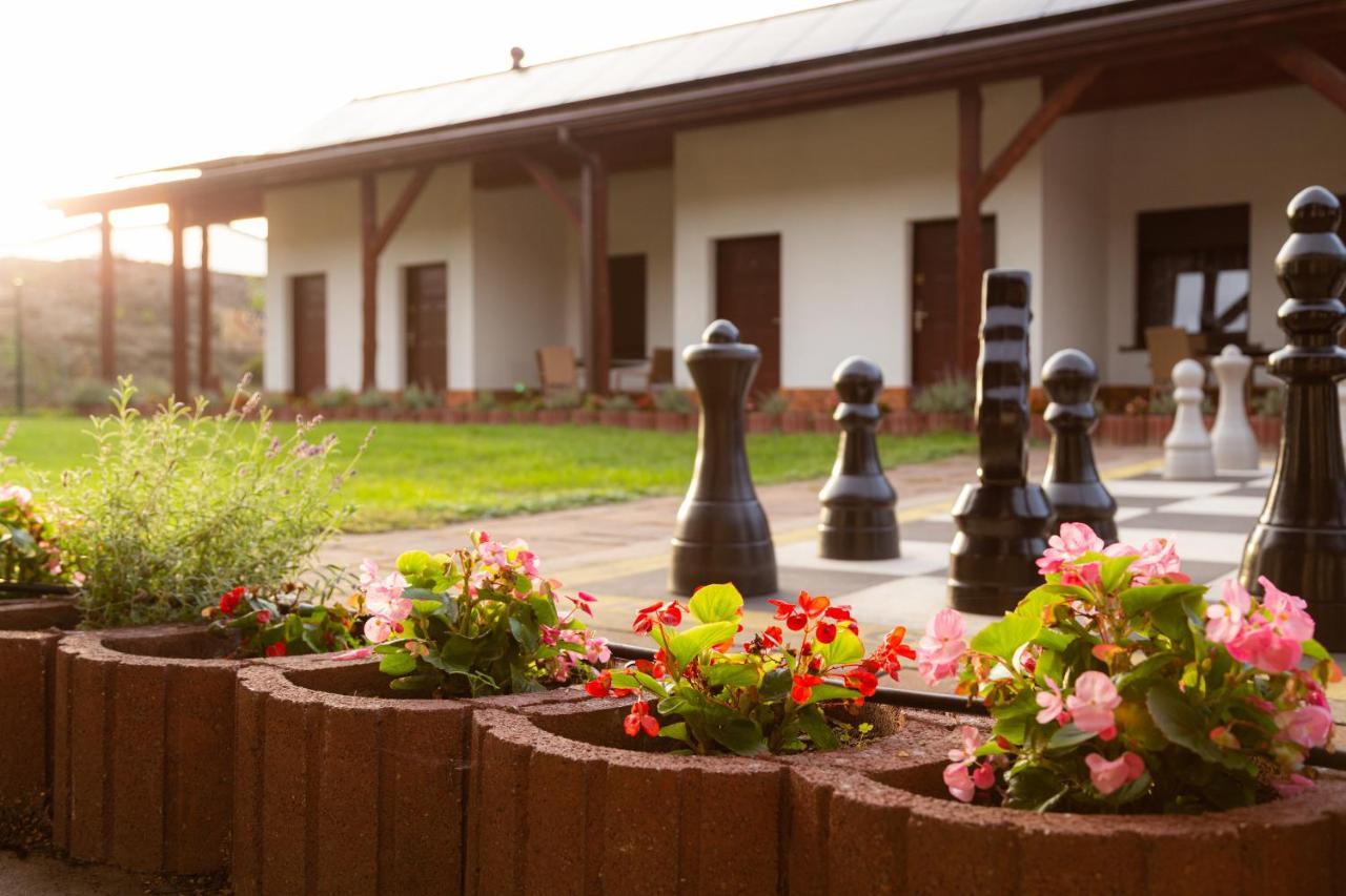 Hotel Nenufar Косьцян Экстерьер фото